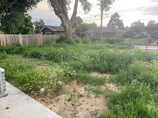 Photo from customer review