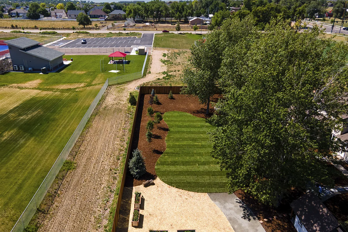 professional sod installation Colorado