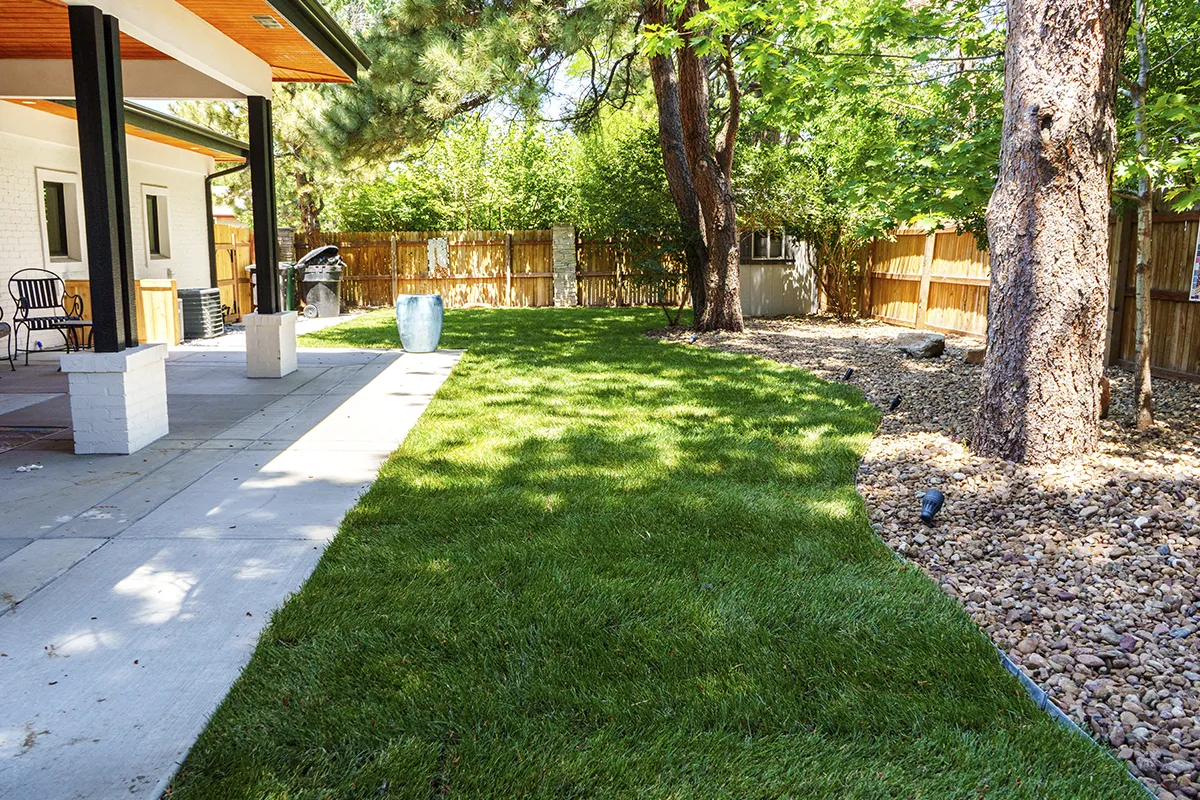 sod grass installation in Colorado